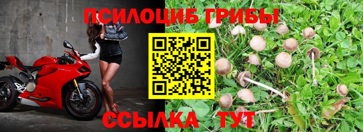 Галлюциногенные грибы Cubensis  Псилоцибиновые грибы мухоморы  Вход с VPN  Кемерово 