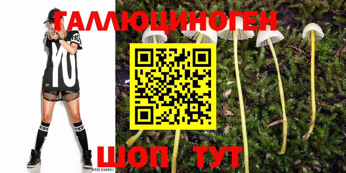 Псилоцибиновые грибы мухоморы Кемерово